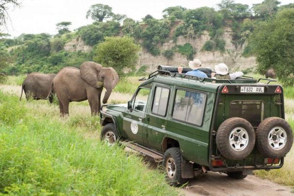 7-Day Northern Circuit Safari & Waterfall Hike Adventure